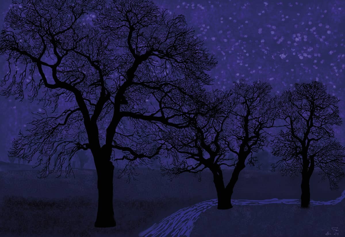 Achterse kockerse nacht (20260817103054) 1