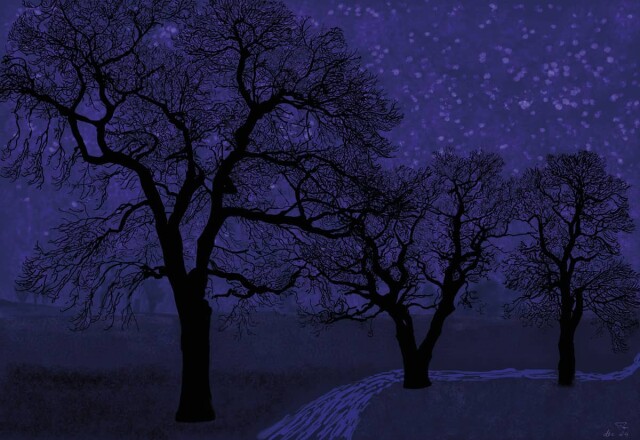 Achterse kockerse nacht (20260817103054) 1